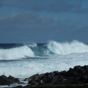 Pacific Ocean Wave in Hawai'i