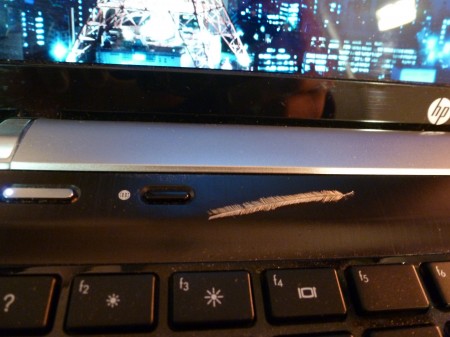 The cute, little feather I found on my laptop last week. Thank you angels.