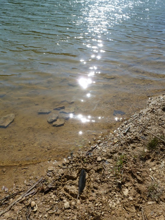 the heart and the sun’s glistening light lined up perfectly the heart and the sun’s glistening light lined up perfectly