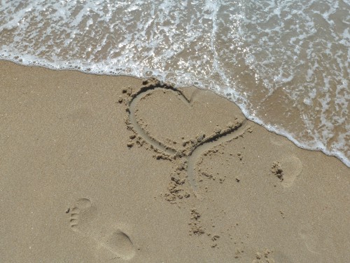 The Heart