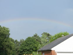 Rainbow in my backyard