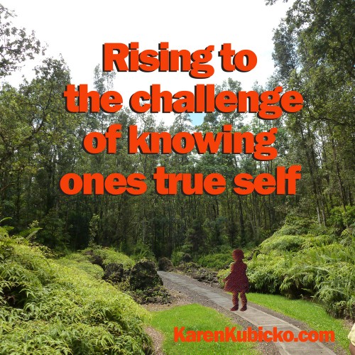 rising to the challenge rising to the challenge