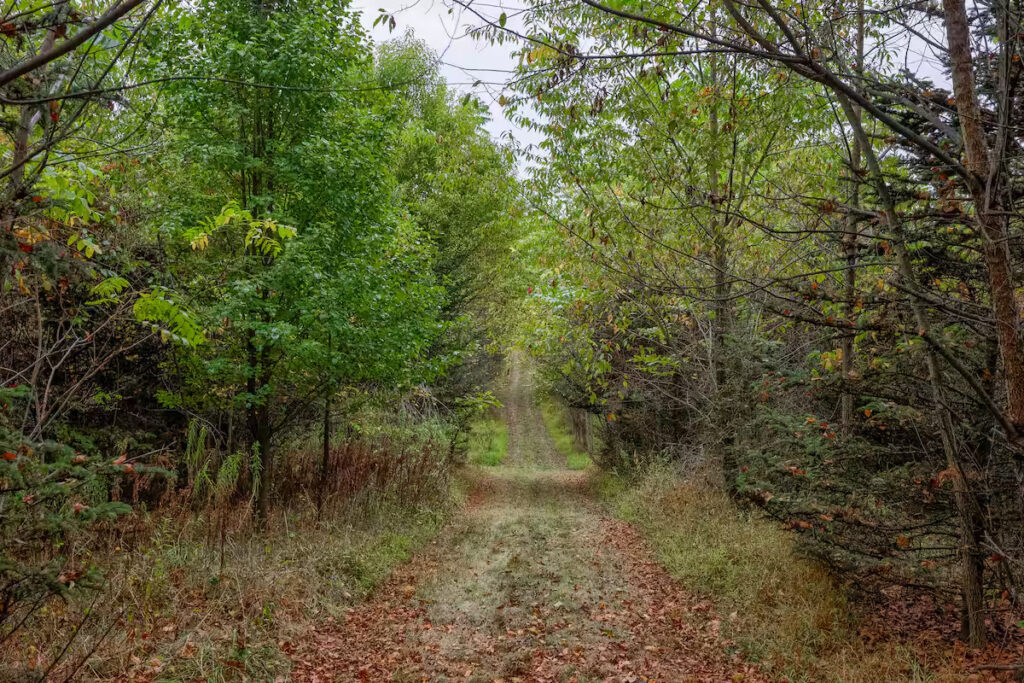 Blue Ribbon Homestead Airbnb Gettysburg PA nature trail