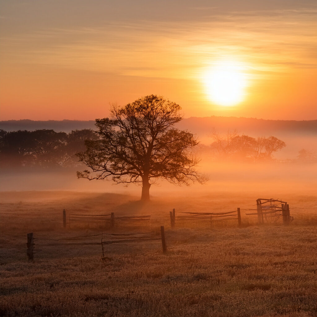 misty countryside morning sunrise